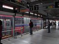 DSCF6226