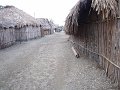 DSCF6421
