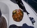 DSCF6437