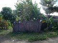 DSCF6439