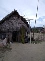 DSCF6490